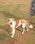 Ralado