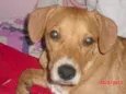 Charlie