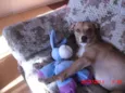 Charlie