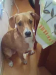 Charlie