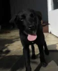 Jake