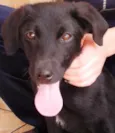 Jake