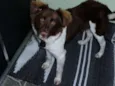 Paçoca