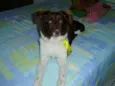 Paçoca