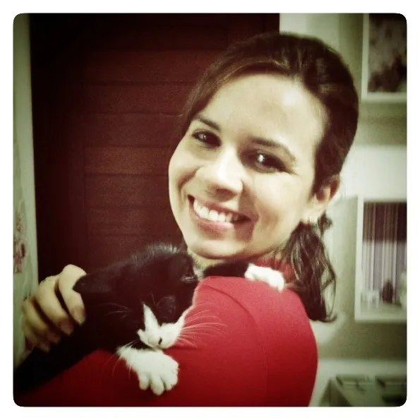 Gato raça Srd idade 2 a 6 meses nome Erik