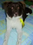 Paçoca