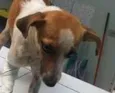 Vitória
