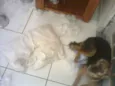 José