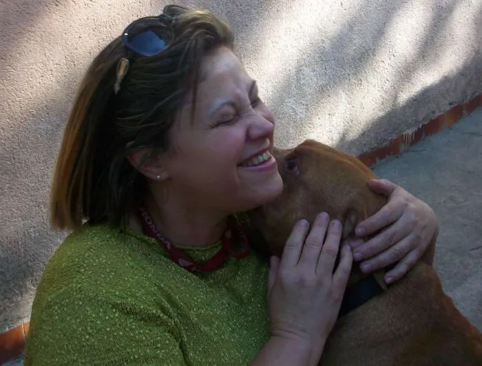 Cachorro ra a Pit-Bull idade 6 ou mais anos nome BUBERTH