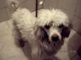 SPIKE