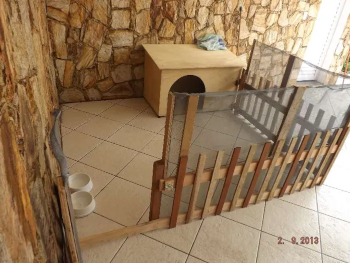 Cachorro ra a SRD idade 2 a 6 meses nome Mel