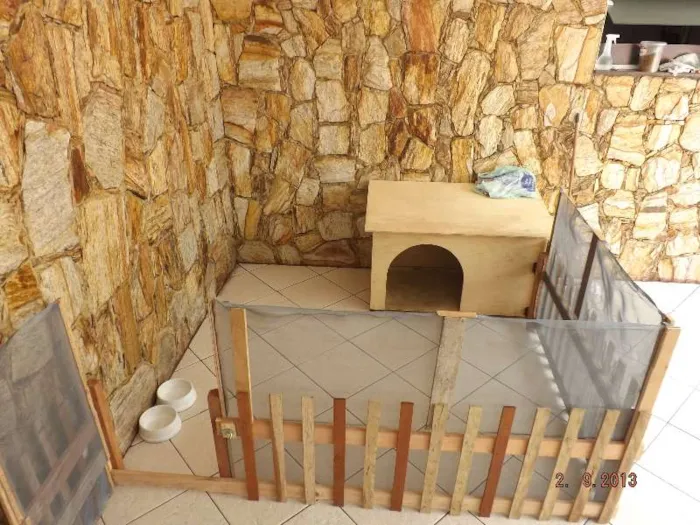 Cachorro ra a SRD idade 2 a 6 meses nome Mel