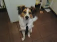 Billy