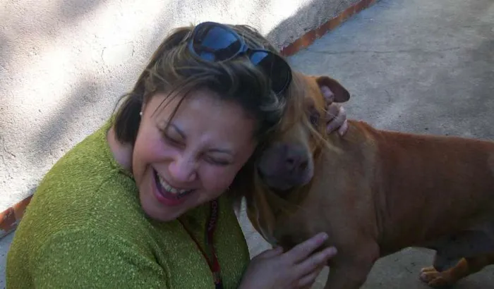 Cachorro ra a Raça: Pit-Bull idade 5 anos nome BUBERTH
