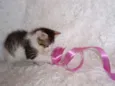 Manuela