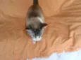 Rubi