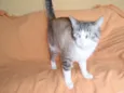 Rubi