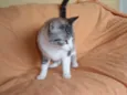 Rubi