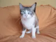 Rubi