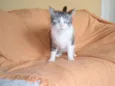 Rubi