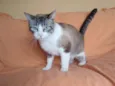 Rubi