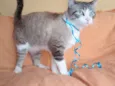 Rubi