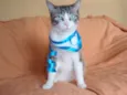 Rubi
