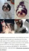 Lola