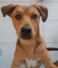 BOB