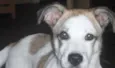 BILLY