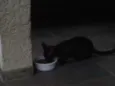 blaky e pixy