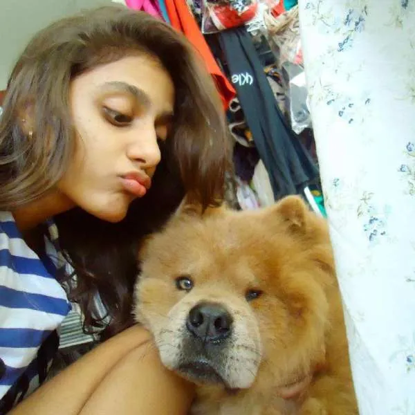 Cachorro raça Chow Chow idade 2 anos nome Jacob