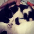 Nina