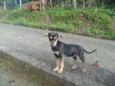 indefinido