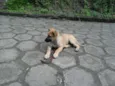 indefinido