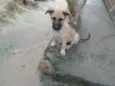 indefinido