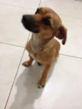 Menina