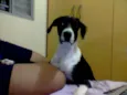 Luke