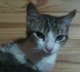 luan