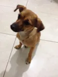 Menina