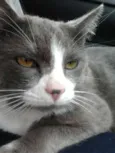 Tom