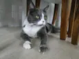 Tom