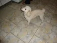 Billy