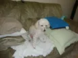 Billy