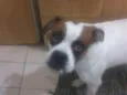 Bruce