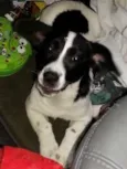 Chloe
