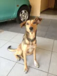 Menina