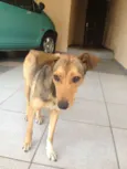 Menina