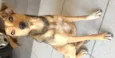 Menina