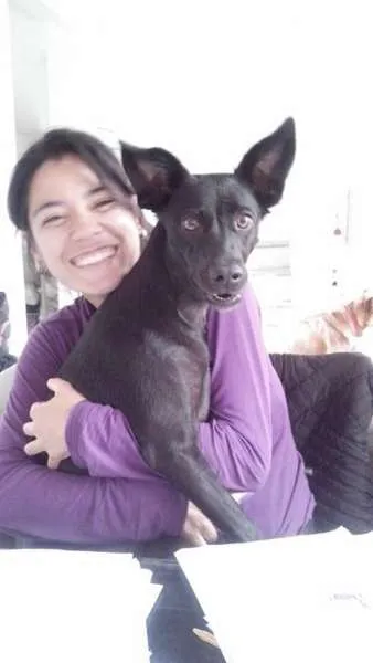 Cachorro ra a SRD idade 2 anos nome Bela